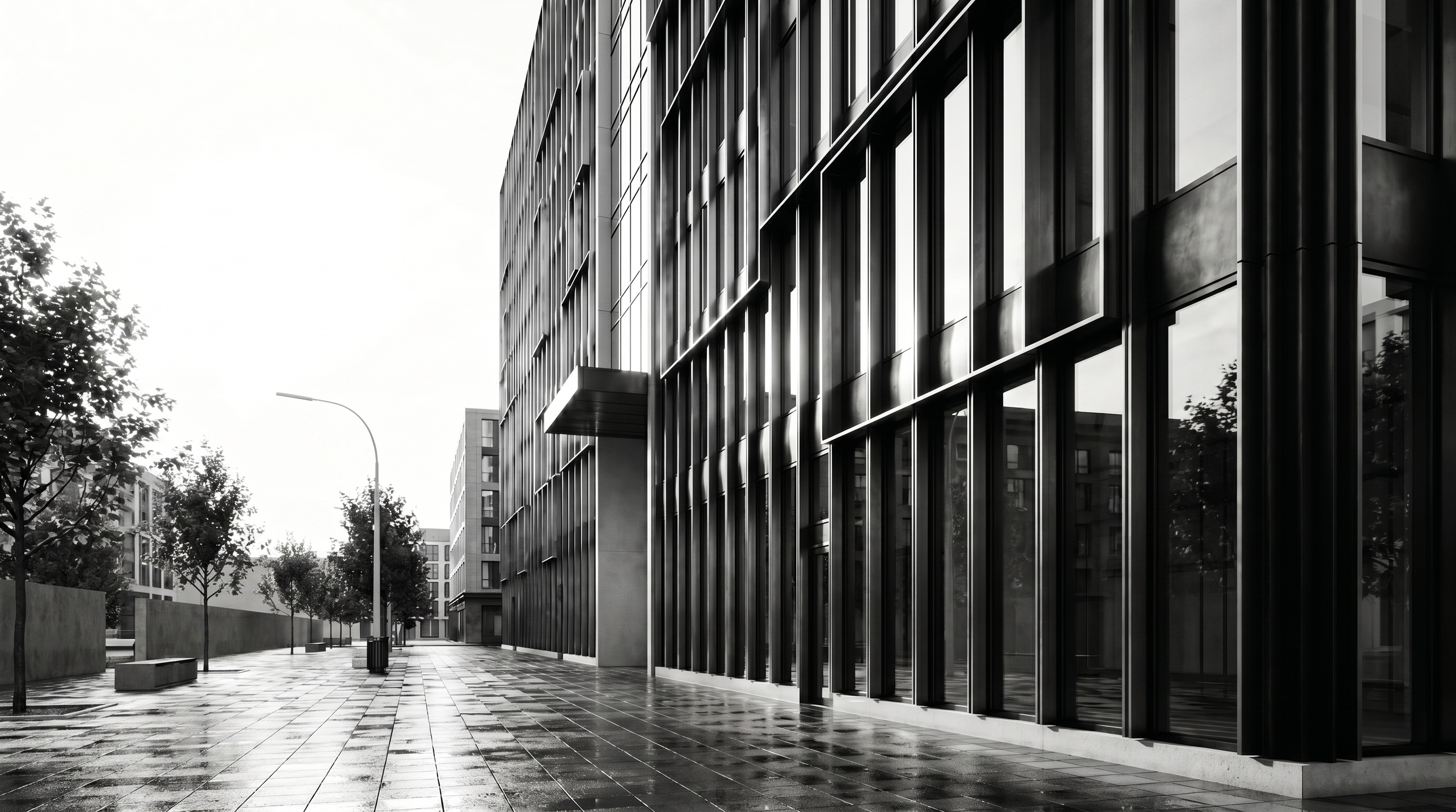Ambar · 3
